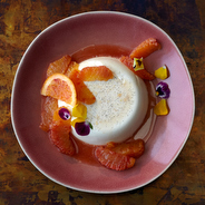 panacotta